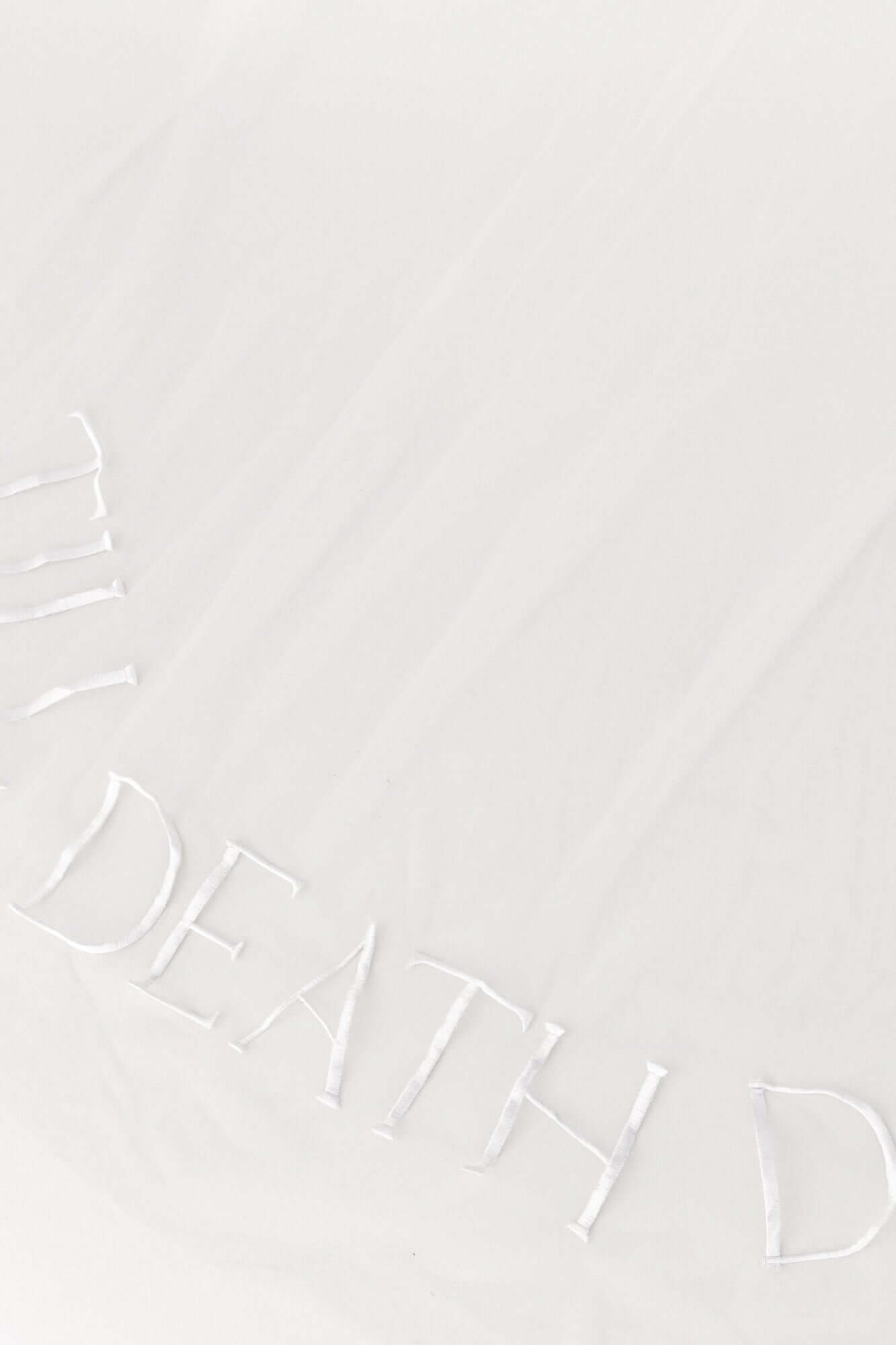 Wedding Veil Till Deathbridal veil,cathedral length,delicate embroidery,wedding veilCBB Market